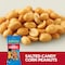 Planters Planters Salted Peanut 1 oz. Bag, PK144 10029000076928 - alternate 3
